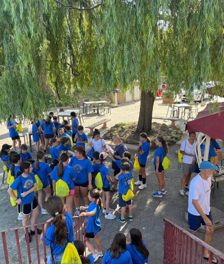 d095c4a9-5742-4962-916c-2e6e665d6c94